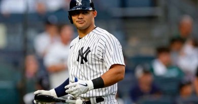 Jasson Domínguez pisa fuerte en Ligas Menores