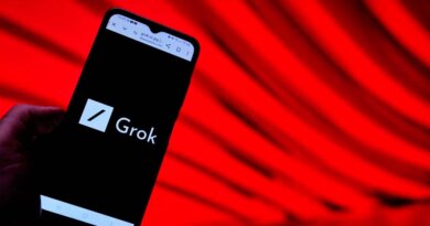 App de Grok para iOS ya se encuentra en fase de pruebas