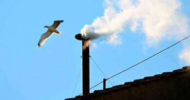 Humo blanco en el Vaticano anuncia la elección de un nuevo Papa