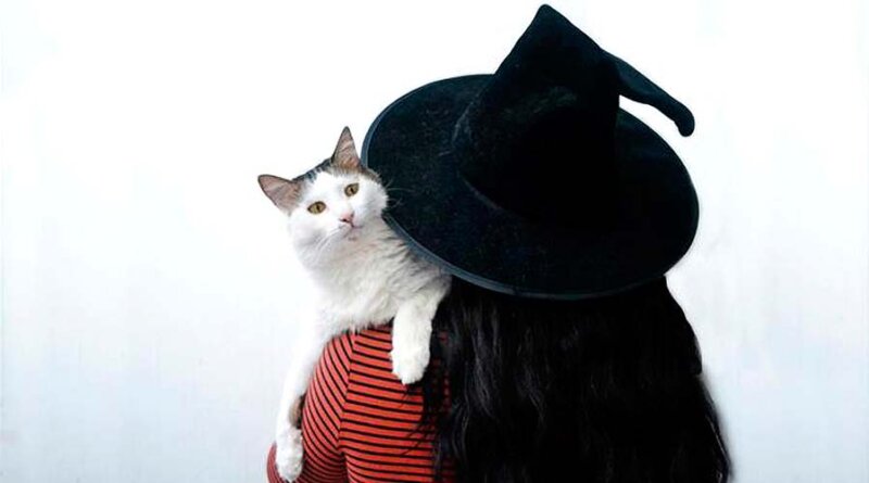 Gatos: mensajeros de lo sobrenatural